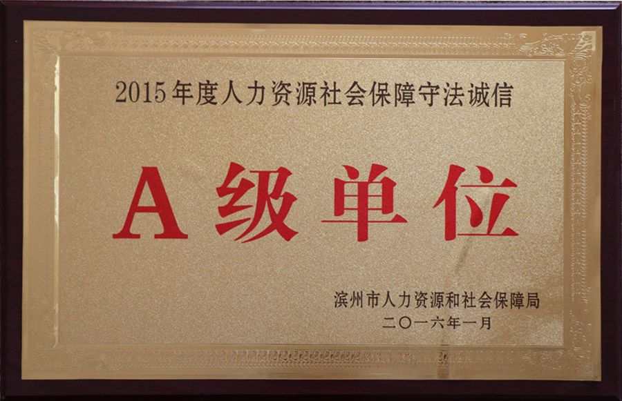 A级单位