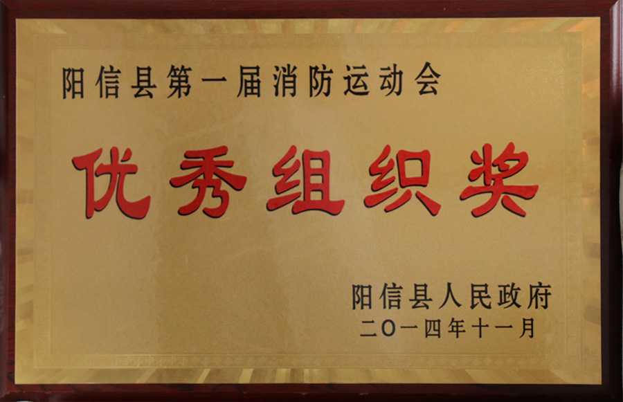 优秀组织奖